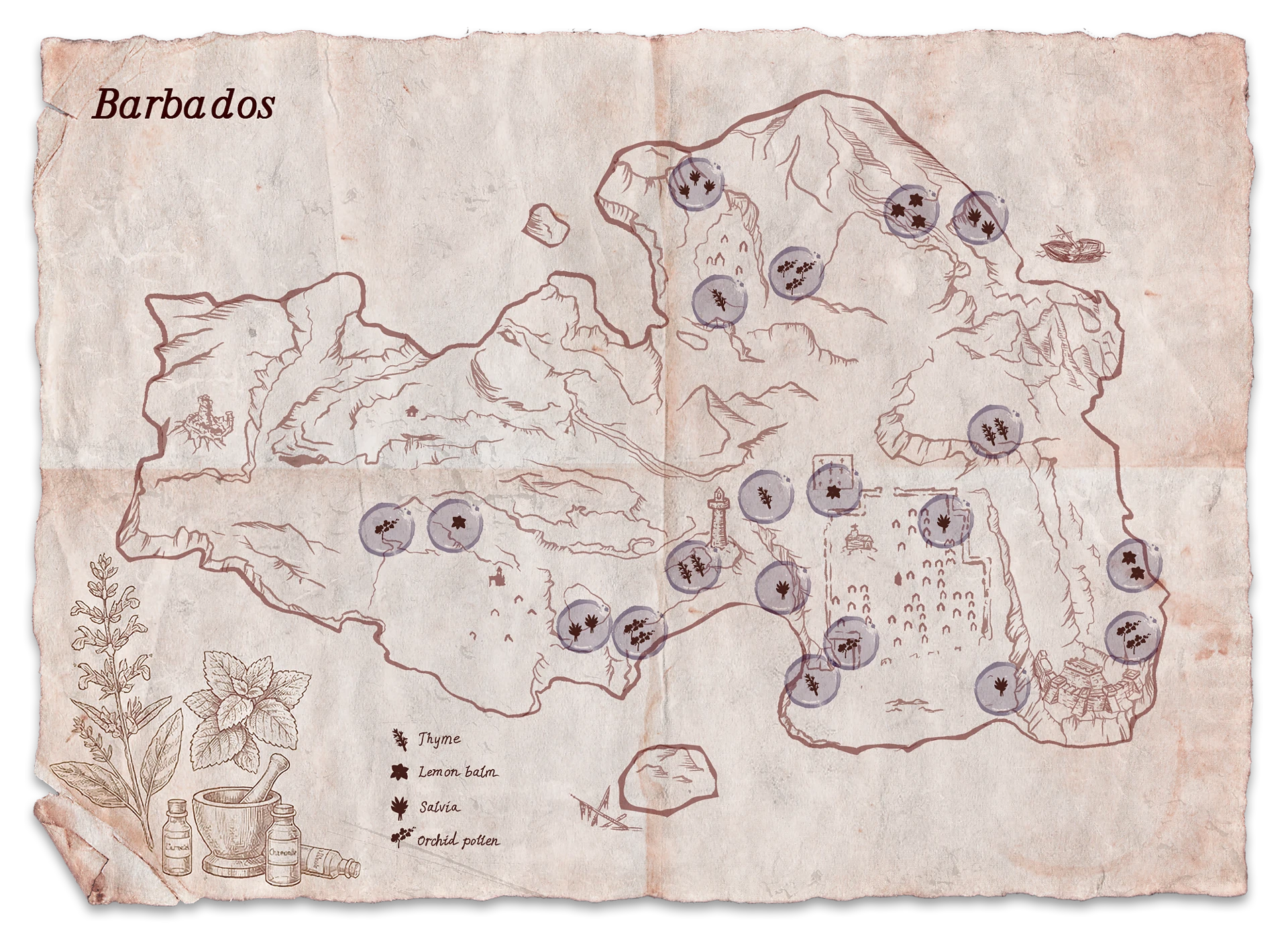 Mapa cennych ziół na Barbadosie w Corsairs Legacy Mapa cennych ziół na Barbadosie w Corsairs Legacy