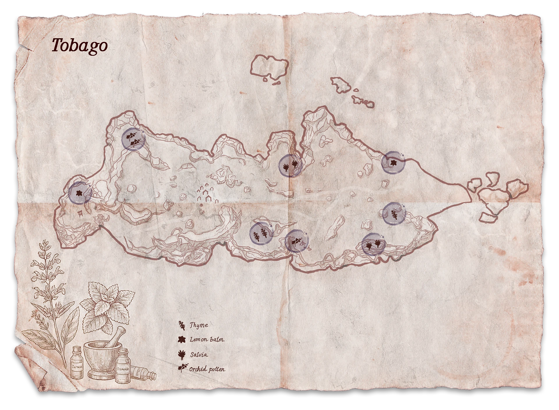 Mapa de ervas valiosas em Tobago em Corsairs Legacy